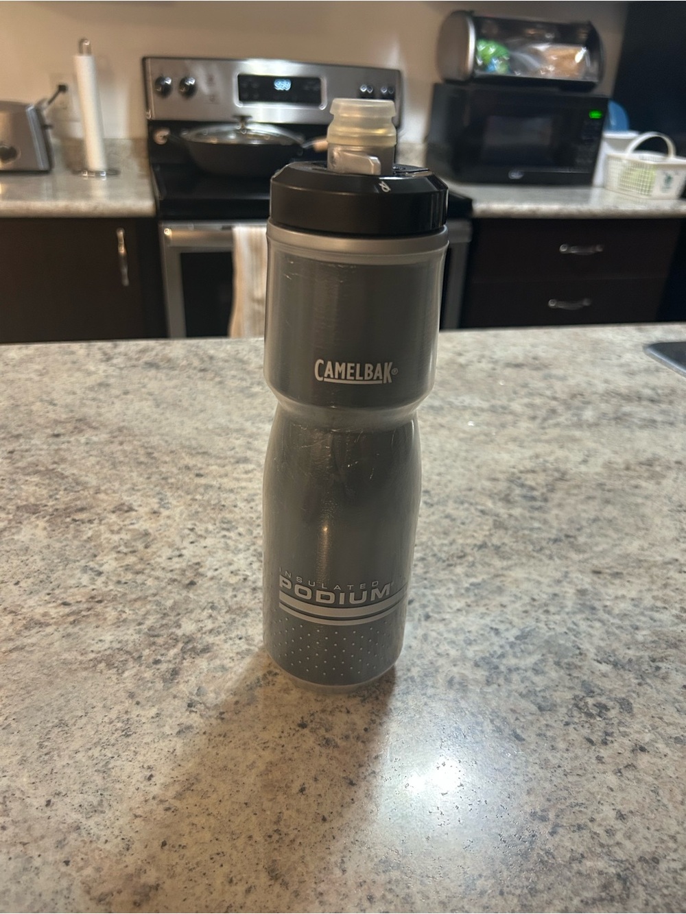 Camelbak insulated Gray Travel Bottle with Black Cap